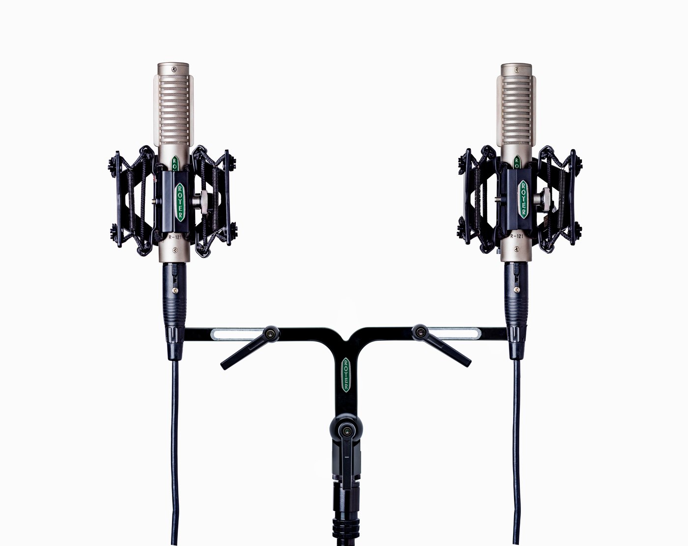 Two Royer R-121 microphones mounted in a FlexBar